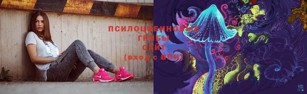 дурь Кукмор