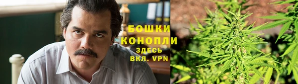 прущие грибы Аркадак