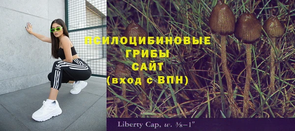 мяу мяу мука Арсеньев