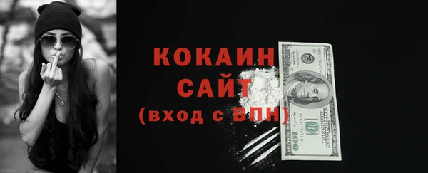 прущие грибы Аркадак
