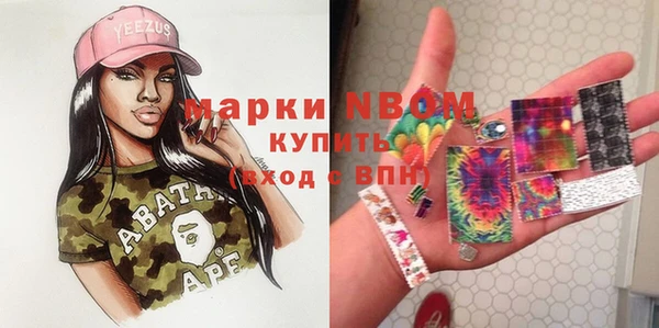 прущие грибы Аркадак