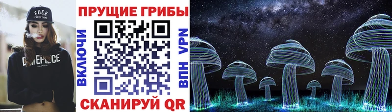 Псилоцибиновые грибы Cubensis  Армянск 